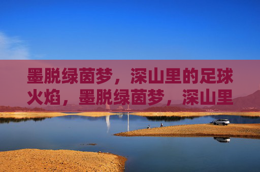墨脱绿茵梦，深山里的足球火焰，墨脱绿茵梦，深山里的足球火焰