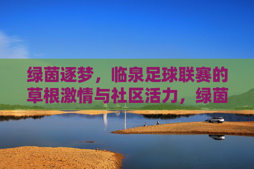 绿茵逐梦,临泉足球联赛的草根激情与社区活力,绿茵逐梦,临泉足球联赛的草根激情与社区活力