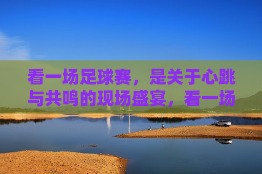 看一场足球赛，是关于心跳与共鸣的现场盛宴，看一场足球赛，心跳与共鸣的现场盛宴
