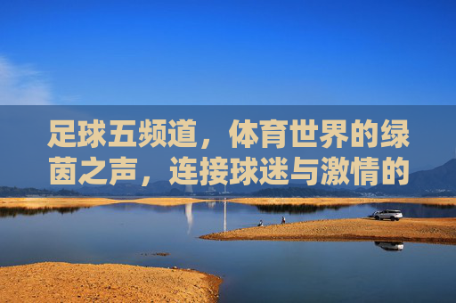 足球五频道，体育世界的绿茵之声，连接球迷与激情的桥梁，足球五频道，体育世界的绿茵之声，连接球迷与激情的桥梁