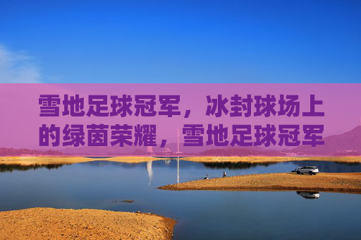 雪地足球冠军，冰封球场上的绿茵荣耀，雪地足球冠军，冰封球场上的绿茵荣耀