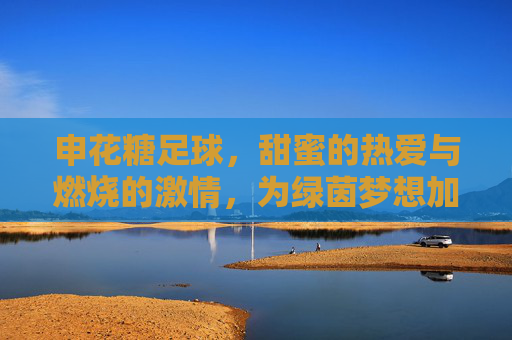 申花糖足球，甜蜜的热爱与燃烧的激情，为绿茵梦想加冕的征途，申花糖足球，甜蜜的热爱与燃烧的激情，为绿茵梦想加冕的征途