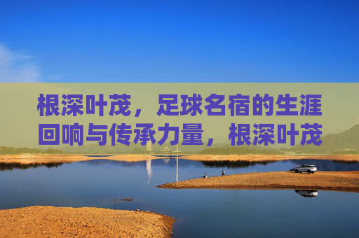 根深叶茂，足球名宿的生涯回响与传承力量，根深叶茂，足球名宿的生涯回响与传承力量