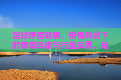 足球停摆联赛,疫情风暴下的体育阵痛与行业反思,足球停摆联赛,疫情风暴下的体育阵痛与行业反思