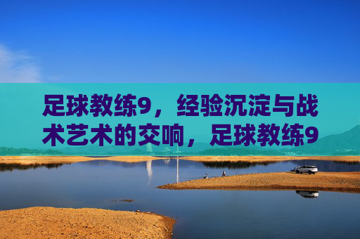 足球教练9,经验沉淀与战术艺术的交响,足球教练9,经验沉淀与战术艺术的交响