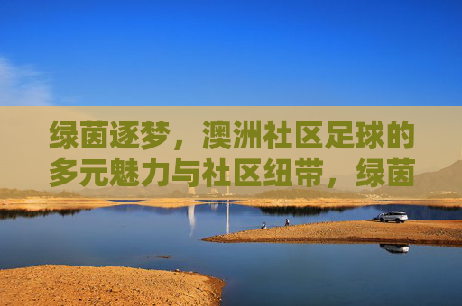 绿茵逐梦，澳洲社区足球的多元魅力与社区纽带，绿茵逐梦，澳洲社区足球的多元魅力与社区纽带