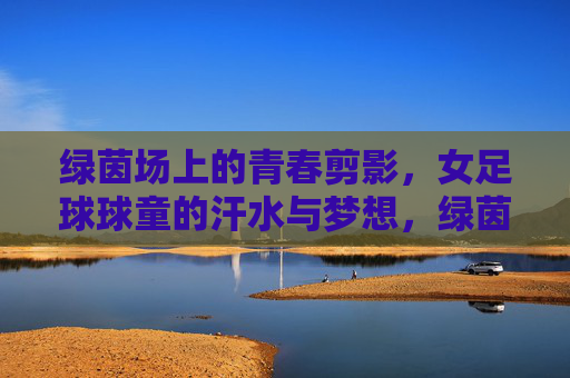 绿茵场上的青春剪影，女足球球童的汗水与梦想，绿茵场上的青春剪影，女足球球童的汗水与梦想