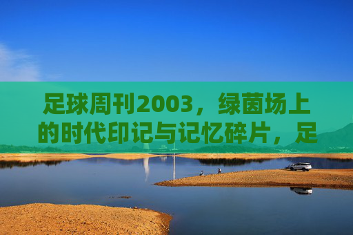 足球周刊2003，绿茵场上的时代印记与记忆碎片，足球周刊2003，绿茵场上的时代印记与记忆碎片