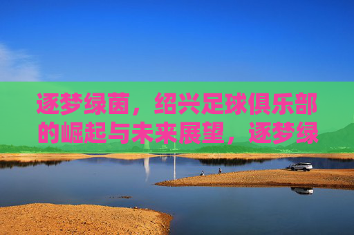 逐梦绿茵,绍兴足球俱乐部的崛起与未来展望,逐梦绿茵,绍兴足球俱乐部的崛起与未来展望