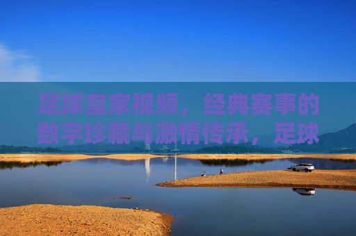 足球皇家视频,经典赛事的数字珍藏与激情传承,足球皇家视频,经典赛事的数字珍藏与激情传承