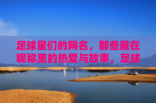足球星们的网名,那些藏在昵称里的热爱与故事,足球星们的网名,那些藏在昵称里的热爱与故事