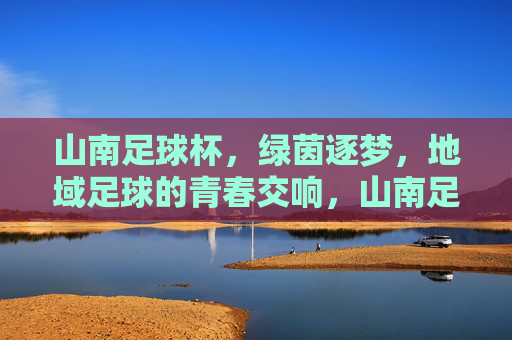 山南足球杯,绿茵逐梦,地域足球的青春交响,山南足球杯,绿茵逐梦,地域足球的青春交响
