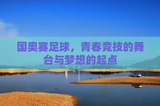国奥赛足球,青春竞技的舞台与梦想的起点