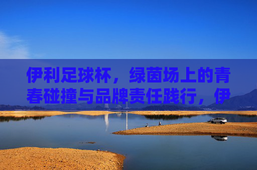伊利足球杯,绿茵场上的青春碰撞与品牌责任践行,伊利足球杯,绿茵场上的青春碰撞与品牌责任践行