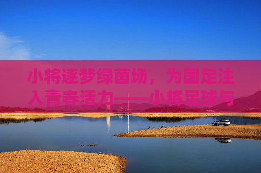 小将逐梦绿茵场，为国足注入青春活力——小将足球与国家队的未来图景，小将逐梦绿茵场，为国足注入青春活力——小将足球与国家队的未来图景