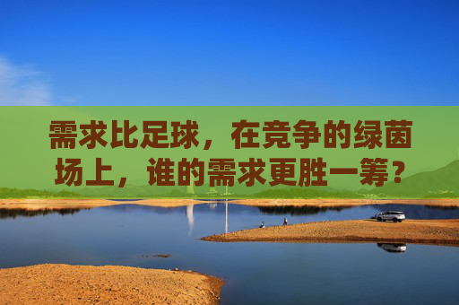 需求比足球,在竞争的绿茵场上,谁的需求更胜一筹?竞争绿茵场,谁的需求更胜一筹?