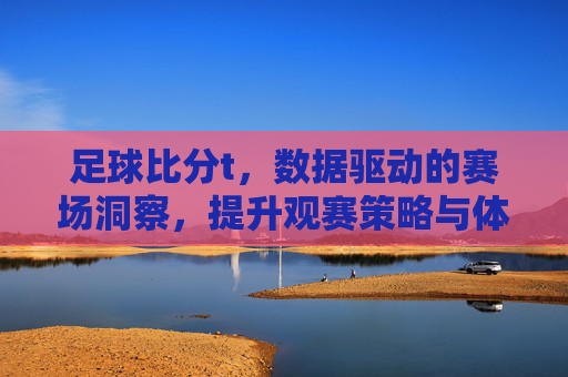 足球比分t，数据驱动的赛场洞察，提升观赛策略与体验，足球比分t，数据驱动的赛场洞察，提升观赛策略与体验