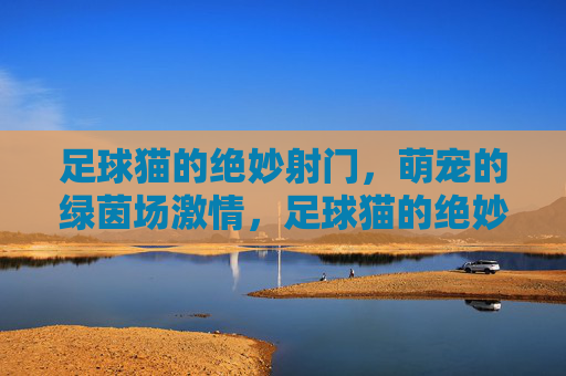 足球猫的绝妙射门,萌宠的绿茵场激情,足球猫的绝妙射门,萌宠的绿茵场激情