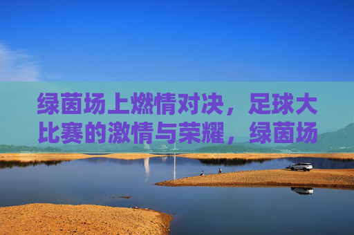 绿茵场上燃情对决，足球大比赛的激情与荣耀，绿茵场上燃情对决，足球大比赛的激情与荣耀