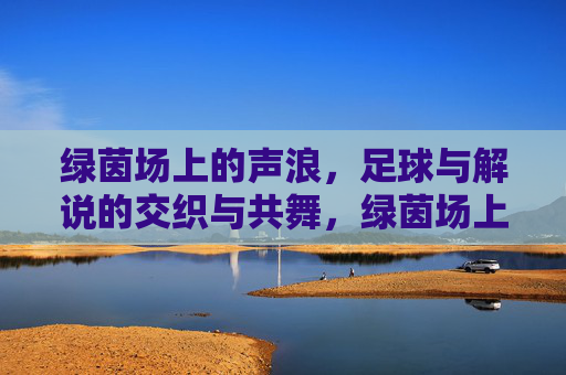 绿茵场上的声浪，足球与解说的交织与共舞，绿茵场上的声浪，足球与解说的交织与共舞