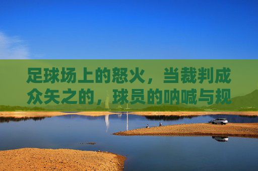 足球场上的怒火，当裁判成众矢之的，球员的呐喊与规则的困境，足球场上的怒火，当裁判成众矢之的，球员的呐喊与规则的困境