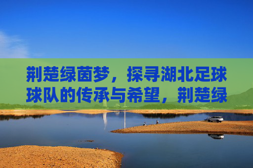 荆楚绿茵梦，探寻湖北足球球队的传承与希望，荆楚绿茵梦，探寻湖北足球球队的传承与希望