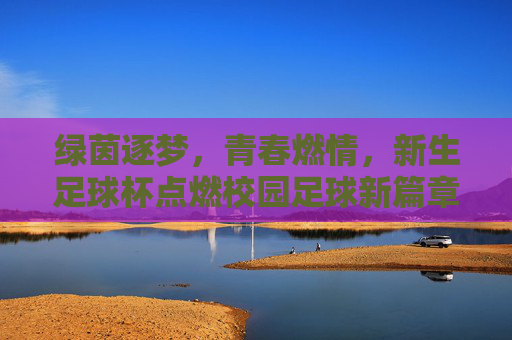 绿茵逐梦,青春燃情,新生足球杯点燃校园足球新篇章,绿茵逐梦,青春燃情,新生足球杯点燃校园足球新篇章