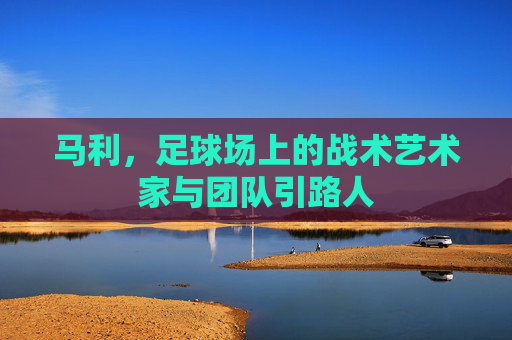 马利,足球场上的战术艺术家与团队引路人