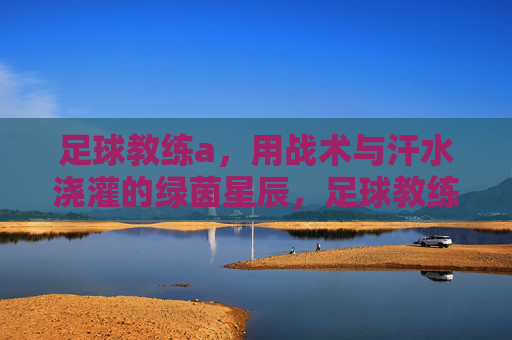 足球教练a，用战术与汗水浇灌的绿茵星辰，足球教练a，用战术与汗水浇灌的绿茵星辰