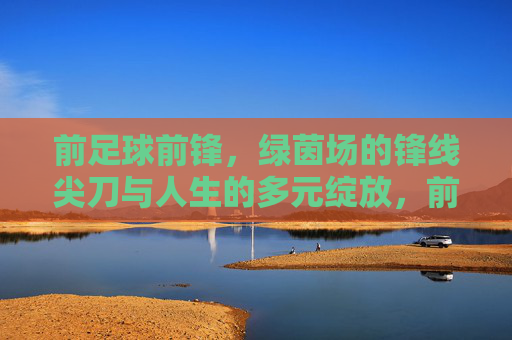 前足球前锋,绿茵场的锋线尖刀与人生的多元绽放,前足球前锋,绿茵尖刀与人生的多元绽放