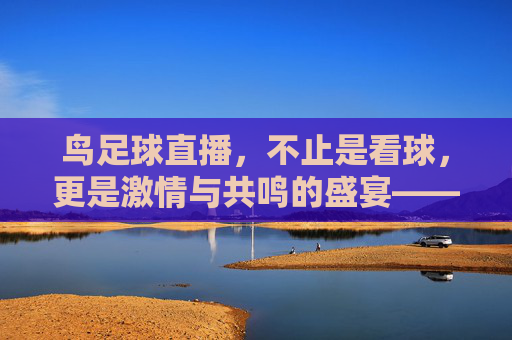 鸟足球直播，不止是看球，更是激情与共鸣的盛宴——解码足球爱好者的数字看台，鸟足球直播，不止是看球，更是激情与共鸣的盛宴——解码足球爱好者的数字看台