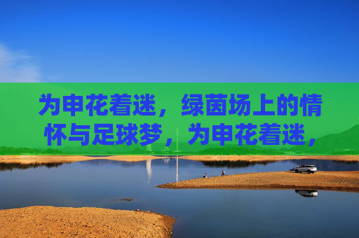 为申花着迷，绿茵场上的情怀与足球梦，为申花着迷，绿茵场上的情怀与足球梦