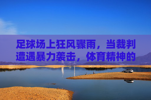 足球场上狂风骤雨,当裁判遭遇暴力袭击,体育精神的崩塌与反思,足球场上狂风骤雨,裁判暴力袭击与体育精神崩塌的反思