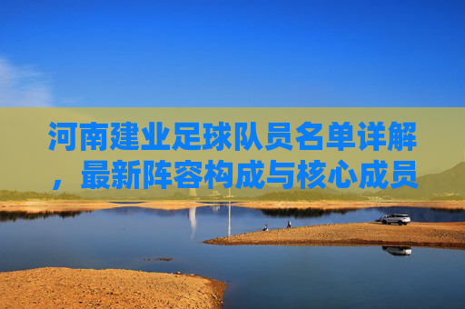 河南建业足球队员名单详解，最新阵容构成与核心成员分析