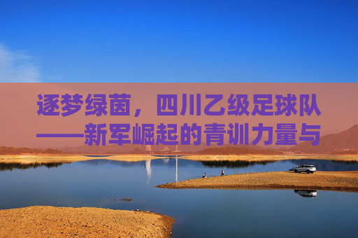 逐梦绿茵,四川乙级足球队——新军崛起的青训力量与未来希望,逐梦绿茵,四川乙级足球队——新军崛起的青训力量与未来希望