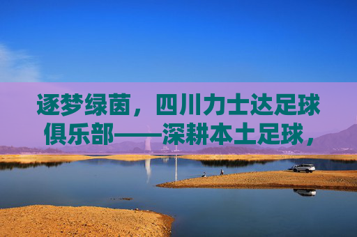 逐梦绿茵，四川力士达足球俱乐部——深耕本土足球，为青训注入新活力，逐梦绿茵，四川力士达足球俱乐部，深耕本土足球，为青训注入新活力