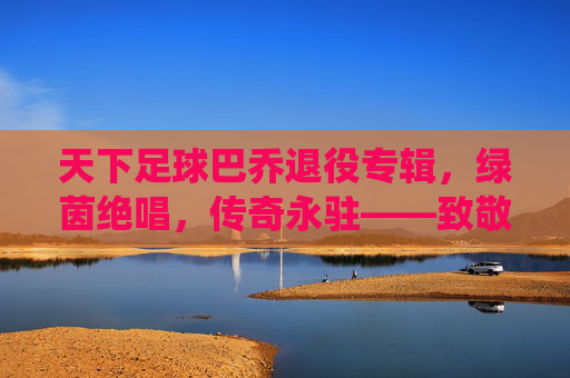 天下足球巴乔退役专辑,绿茵绝唱,传奇永驻——致敬足球史上最伟大的艺术家