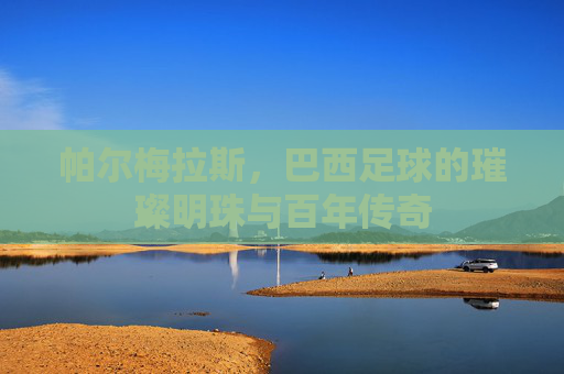 帕尔梅拉斯，巴西足球的璀璨明珠与百年传奇