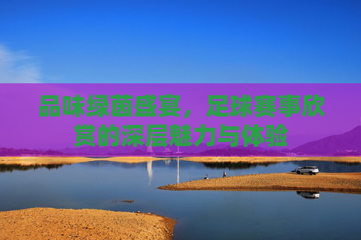 品味绿茵盛宴,足球赛事欣赏的深层魅力与体验