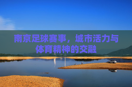 南京足球赛事,城市活力与体育精神的交融