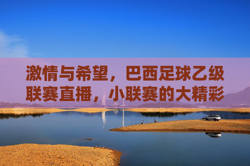 激情与希望,巴西足球乙级联赛直播,小联赛的大精彩与未来图景