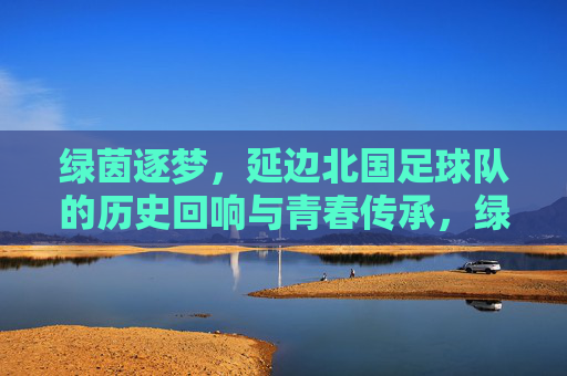 绿茵逐梦，延边北国足球队的历史回响与青春传承，绿茵逐梦，延边北国足球队的历史回响与青春传承