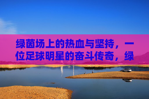 绿茵场上的热血与坚持，一位足球明星的奋斗传奇，绿茵场上的热血与坚持，一位足球明星的奋斗传奇