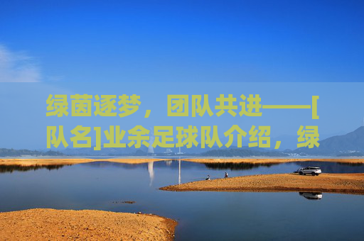 绿茵逐梦，团队共进——[队名]业余足球队介绍，绿茵逐梦，团队共进——[队名]业余足球队介绍