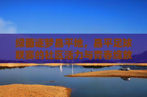 绿茵逐梦昌平地，昌平足球联赛的社区活力与青春绽放