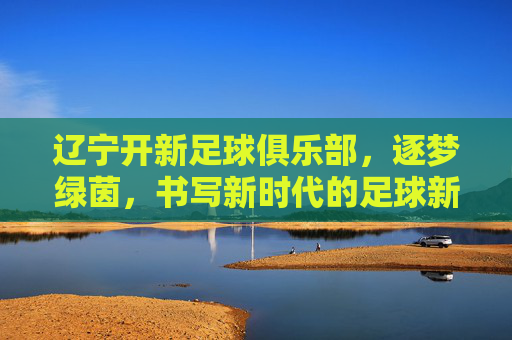 辽宁开新足球俱乐部，逐梦绿茵，书写新时代的足球新篇章