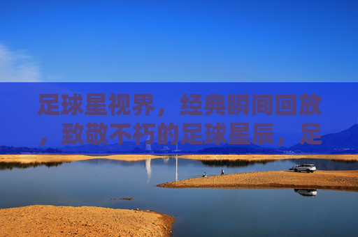 足球星视界,经典瞬间回放,致敬不朽的足球星辰,足球星视界,经典瞬间回放,致敬不朽的足球星辰