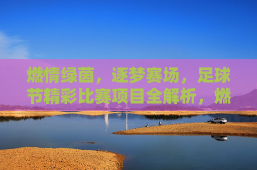 燃情绿茵，逐梦赛场，足球节精彩比赛项目全解析，燃情绿茵，逐梦赛场，足球节精彩比赛项目全解析