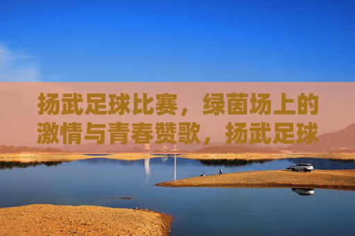 扬武足球比赛，绿茵场上的激情与青春赞歌，扬武足球比赛，绿茵场上的激情与青春赞歌