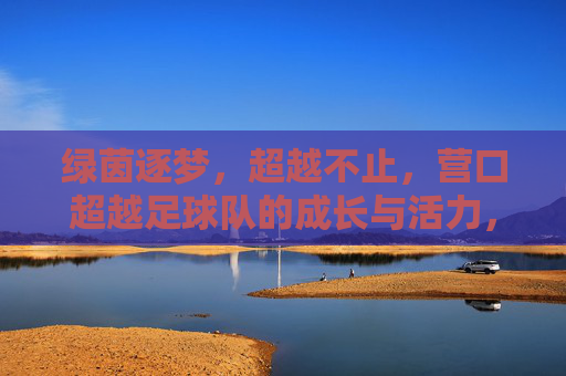 绿茵逐梦，超越不止，营口超越足球队的成长与活力，绿茵逐梦，超越不止，营口超越足球队的成长与活力
